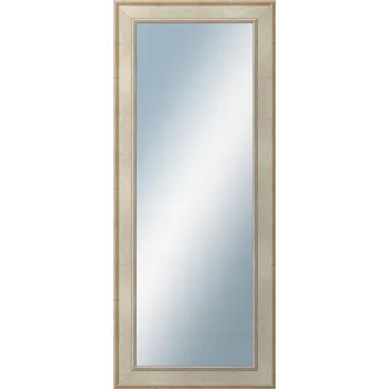 Zrcadlo DANTIK - Zrcadlo v rámu 50x120 | TOOTH stříbrná