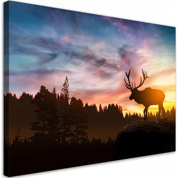 Obraz Obraz na plátně, Jelen při západu slunce 60x40 6