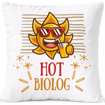 Polštář Polštář pro alkoholika jako Dárek s potiskem bílý PoliDraw