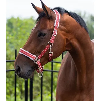 QHP Ohlávka Christmas QHP, rudolph COB