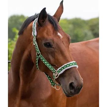 QHP Ohlávka Christmas QHP, elf PONY