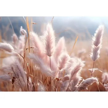 Fototapeta Fototapeta TRÁVA GRASS Obývací pokoj Ložnice 416x254