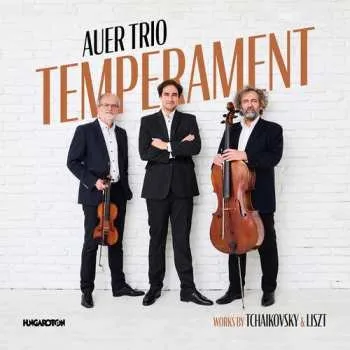 Zahraniční hudba CD Auer Trio: Temperament 2022