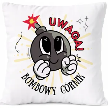 Obraz Polštář Diana jako Dárek s potiskem bílý PoliDraw