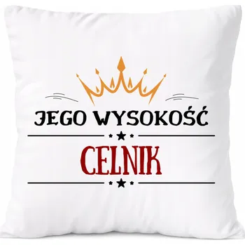 Obraz Zámečnický Polštář s potiskem Dárek bílý PoliDraw