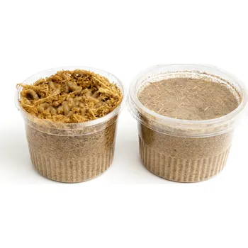 Návnadová surovina MASNÍ ČERVI - Spolehlivá živá nástraha