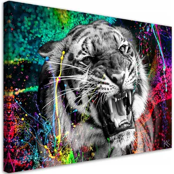Obraz Feeby Obraz na plátně, Tygr zvíře příroda - 60x40