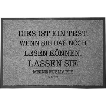 Rohožka Vstupní rohožka šedá dekorativní Dárek do domu To je test 60x40