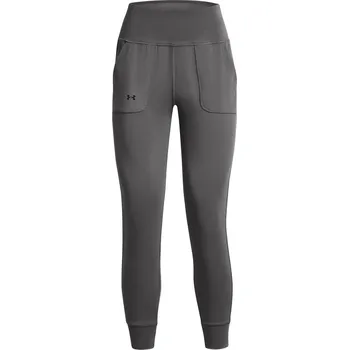 Dámské oblečení Legíny Under Armour Gray 1171938 10 (S)
