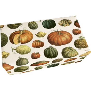 Mýdlo Dárkové mýdlo Pumpkins 200 g