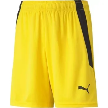 Chlapecké oblečení Puma teamLIGA Shorts Jr 704931 07 152cm