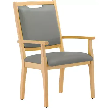 Sedací souprava JONAS SENIOR XXL křeslo pro domovy a stacionáře 600 - světle šedá