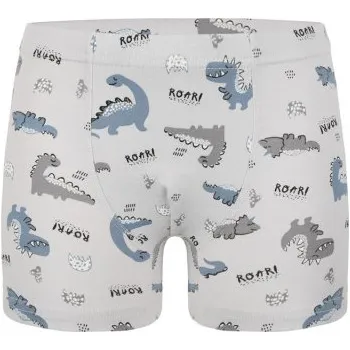 Evona Dětské boxerky DET6 dino sv. šedá Velikost: 122