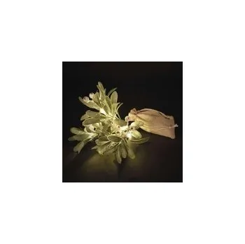 Vánoční dekorace Dekorace vánoční EMOS DCTW29 větvička jmelí