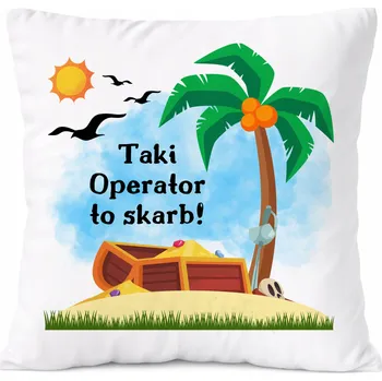 Polštář Bílý Polštář s potiskem fotografie PoliDraw pro analytika jako Dárek