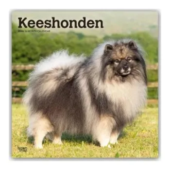 Diář Keeshonden - Wolfsspitz 2026 - 16-Monatskalender (EN)
