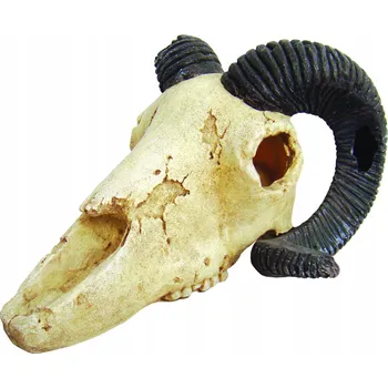 Teraristika Lebka muflona Lucky Reptile do terária 19,5x7x12 cm