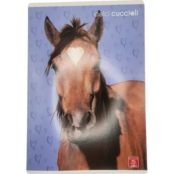 Sešit A4 s linkami Pigna, 80 listů