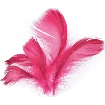 Peří - bordó - 10 g - 229021