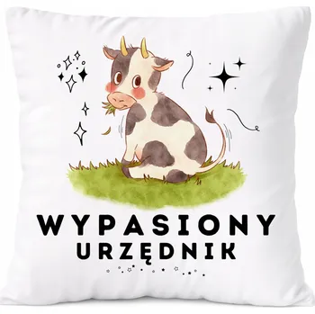 Polštář Polštář Pro Babičku jako Dárek s potiskem Fotografie Bílý PoliDraw