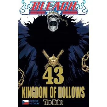 Bleach 43: Kingdom of Hollows Tite Kubo