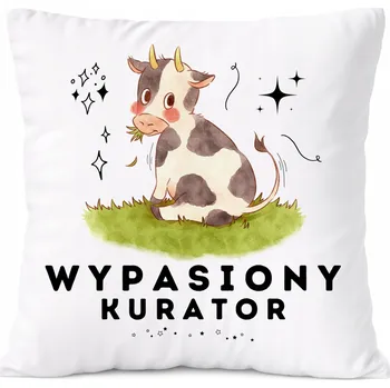 Polštář Polštář Pro Babičku jako Dárek s potiskem Fotografie Bílý PoliDraw