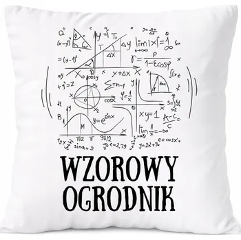 Obraz Polštář vojáka s potiskem Dárek , PoliDraw