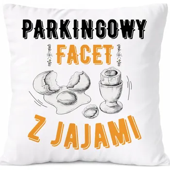 Polštář Polštář Ambassador s potiskem Dárek , PoliDraw