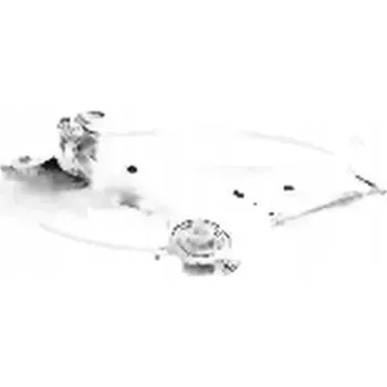 Zavěšení kol Corteco 49398536 Rameno , odpružení kol