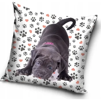 Povlak na dekorativní polštářek Povlak Carbotex 40 x 40 polštáře