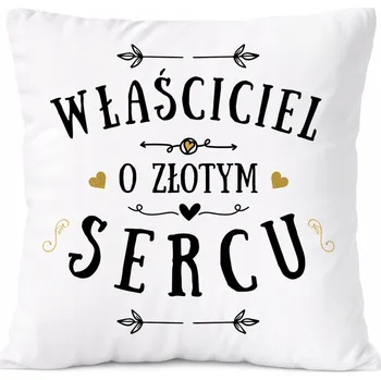 Obraz Dárek Polštář pro architekta s potiskem , bílý PoliDraw