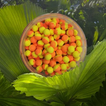 Boilies Pára z navijáku, Ondřej Rutkowski, Tuhaň 39, 277 41 Kly POP-UP Česnek žlutooranžová 10 mm 150ml