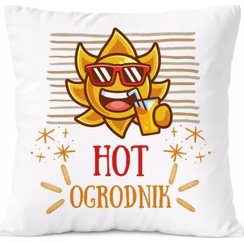 Obraz Polštář pro alkoholika jako Dárek s potiskem bílý PoliDraw