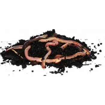 Návnadová surovina KANADSKÉ ROUSNICE - spolehlivá živá nástraha