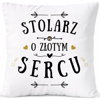 Obraz Zámečnický Polštář s potiskem Dárek bílý PoliDraw