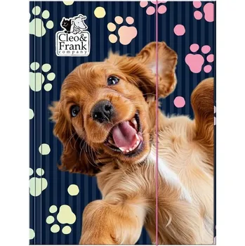 Desky s gumou A4 Derform