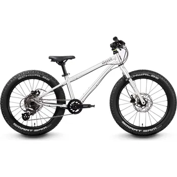 Dětské kolo Dětské kolo Early Rider Seeker 20 2026 20" stříbrná - 10 % pro přihlášené BFEXTRA10