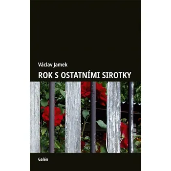 Rok s ostatními sirotky - Jamek Václav