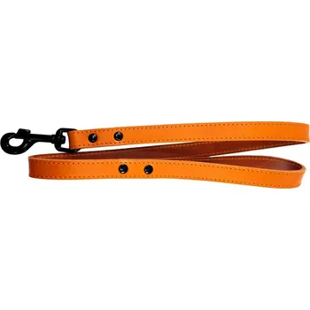 Vodítko pro psa Bafpet Kožené vodítko HERRY, černé kování 100cm/20mm oranžová