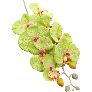 umělá květina Umělá zelená orchidej, větvička, dekorace, kompozice, vysoká kvalita, 77 cm