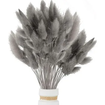 120 ks sušené pampasové trávy