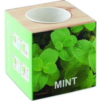 Truhlík Dřevěný truhlík na bylinky 5 bez potisku bez potisku