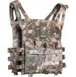 Vesta - nosič plátů MOLLE PLATE CARRIER GEN II WASP Z1B