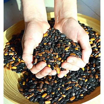 Semeno Beefy Resilient Grex