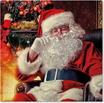 Papírový ubrousek Papírové ubrousky Paw Santa at Home 33x33 cm 20 ks