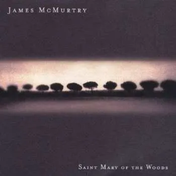 Zahraniční hudba CD James McMurtry: Saint Mary Of The Woods 2002