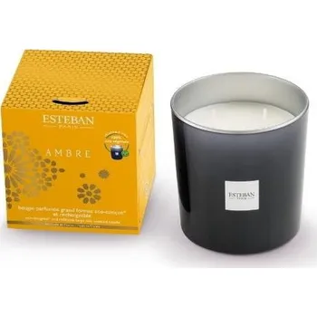 Svíčka ESTEBAN Ambre – vonná svíčka 450 g