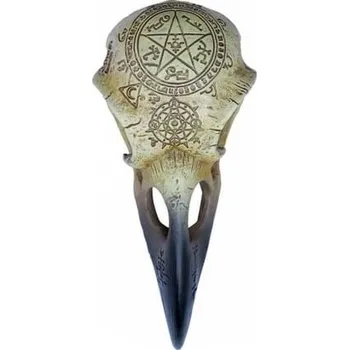 Žertovný předmět Alchemy Gothic Havraní lebka Omega