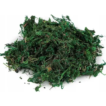 Obraz Dekorativní mech Stoklasa, zelený, 25 g