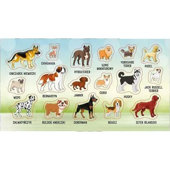 samolepka Klasické Samolepky pro 11leté chlapce pro kurzy Ranok-Creative , 10 ks